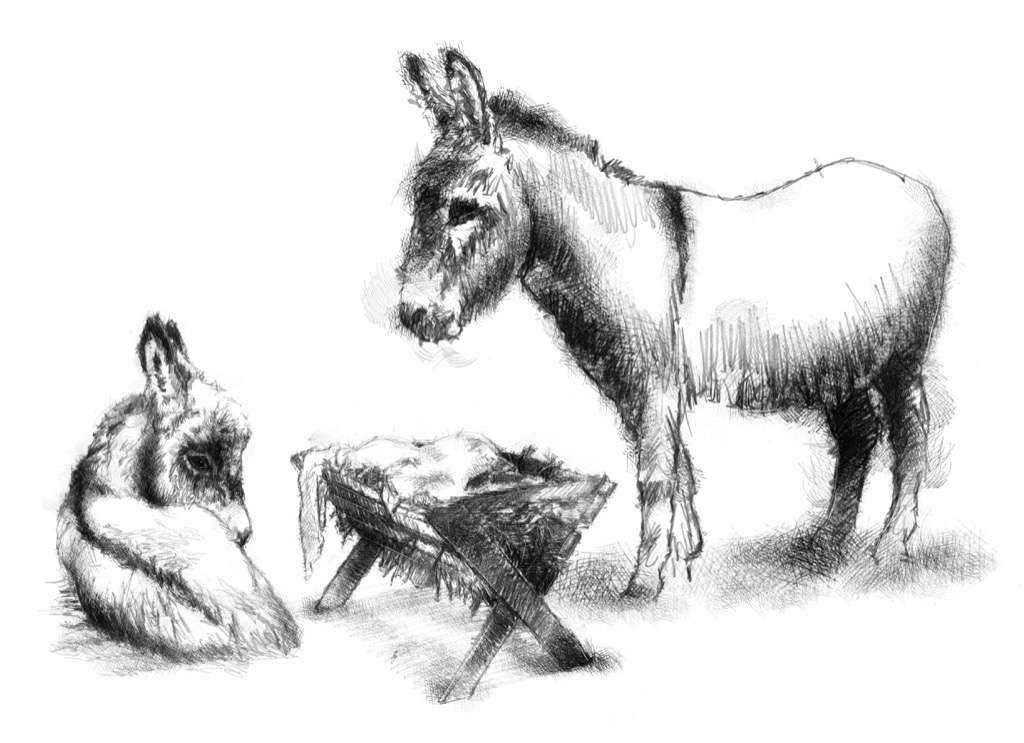 Empty crib SeanBriggs