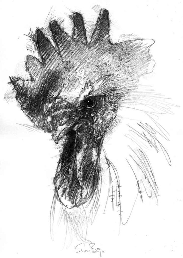 Boy With A Picture Of A Cockerel Drawn On A Blackboard