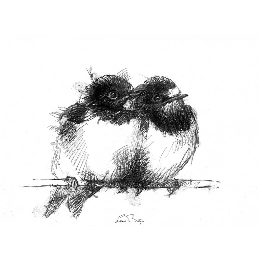 Original Swallows sketch | SeanBriggs