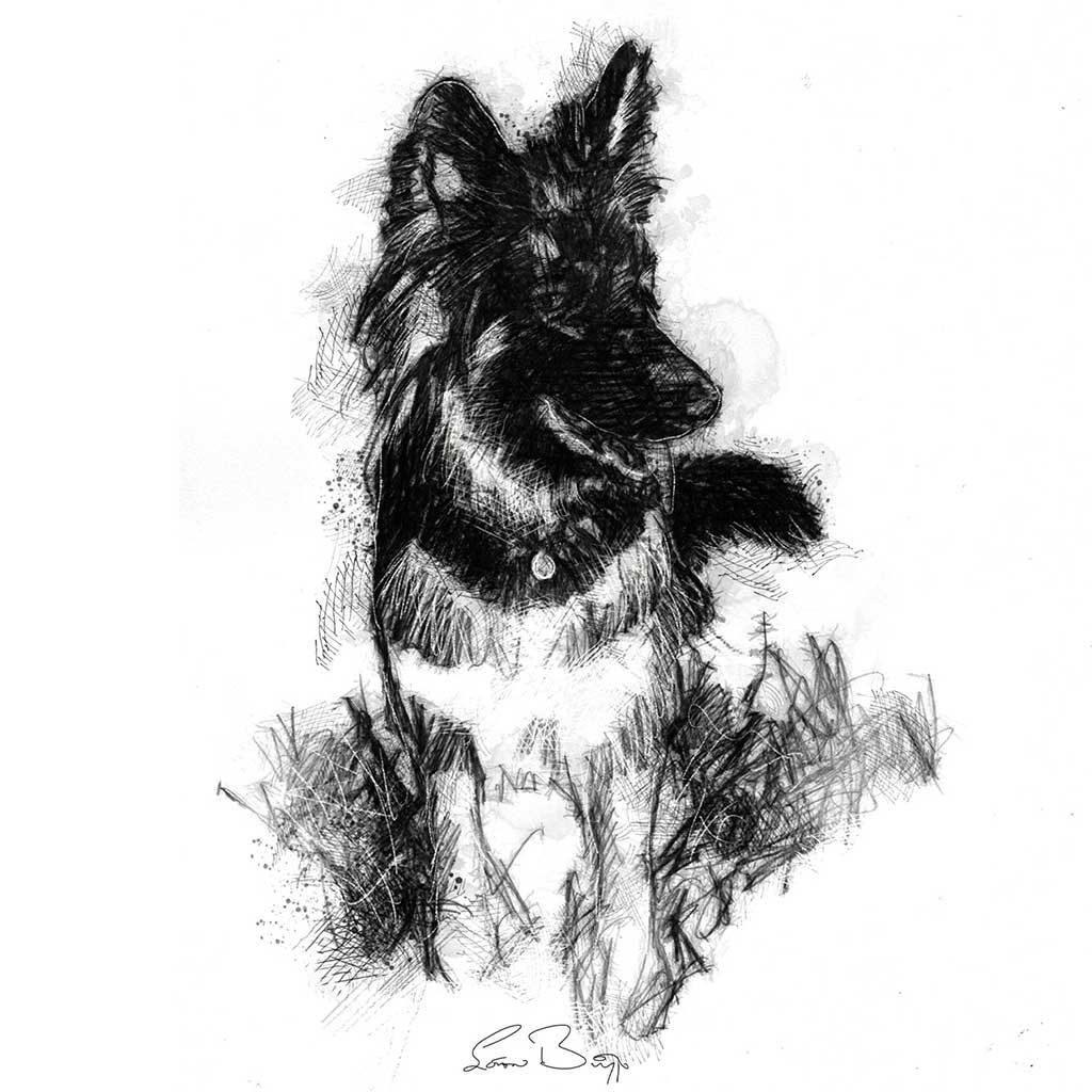 Original German Shepherd sketch | SeanBriggs