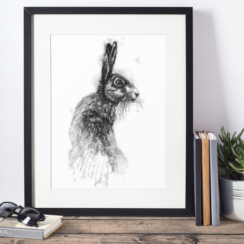 Wild animal sketches and drawings | SeanBriggs