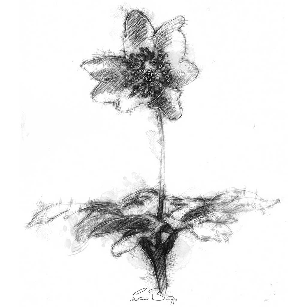 Original sketch SeanBriggs