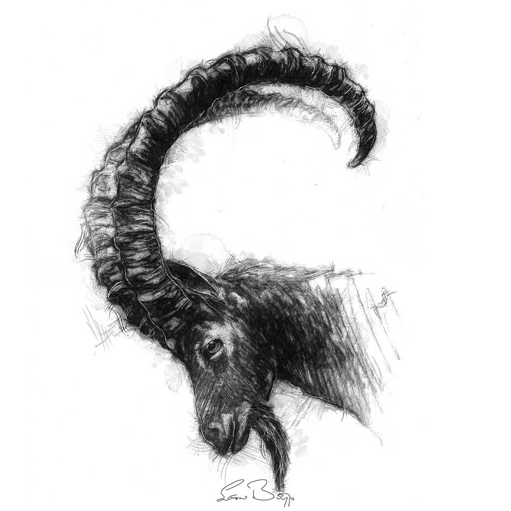 Original sketch SeanBriggs