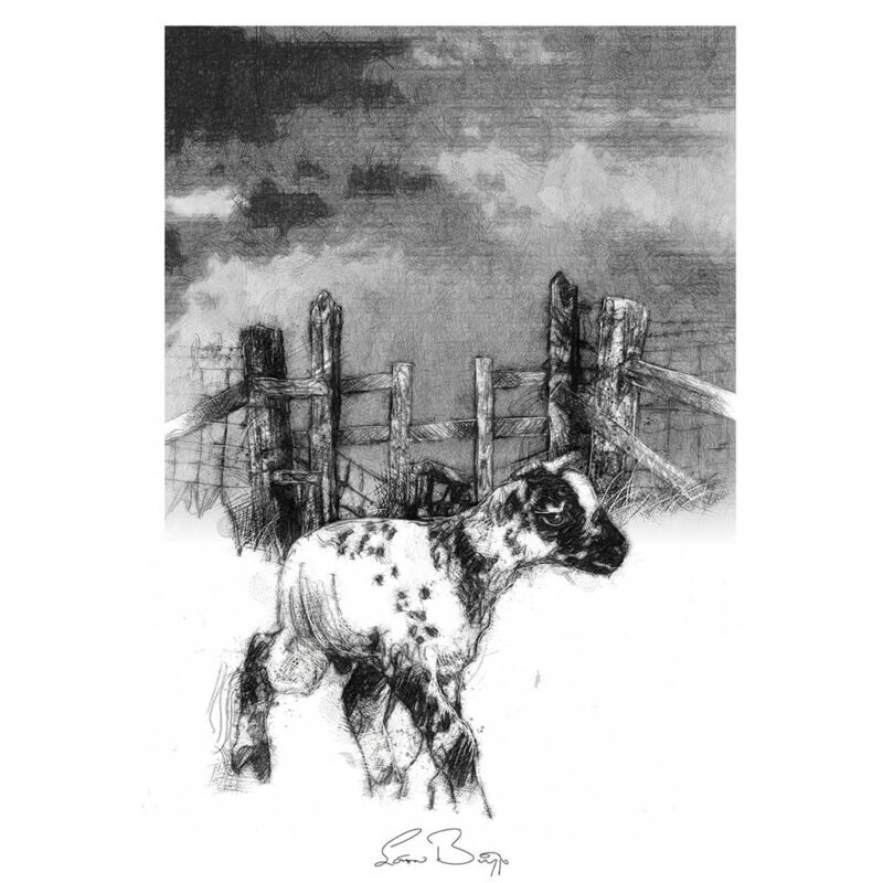 Original sketch SeanBriggs