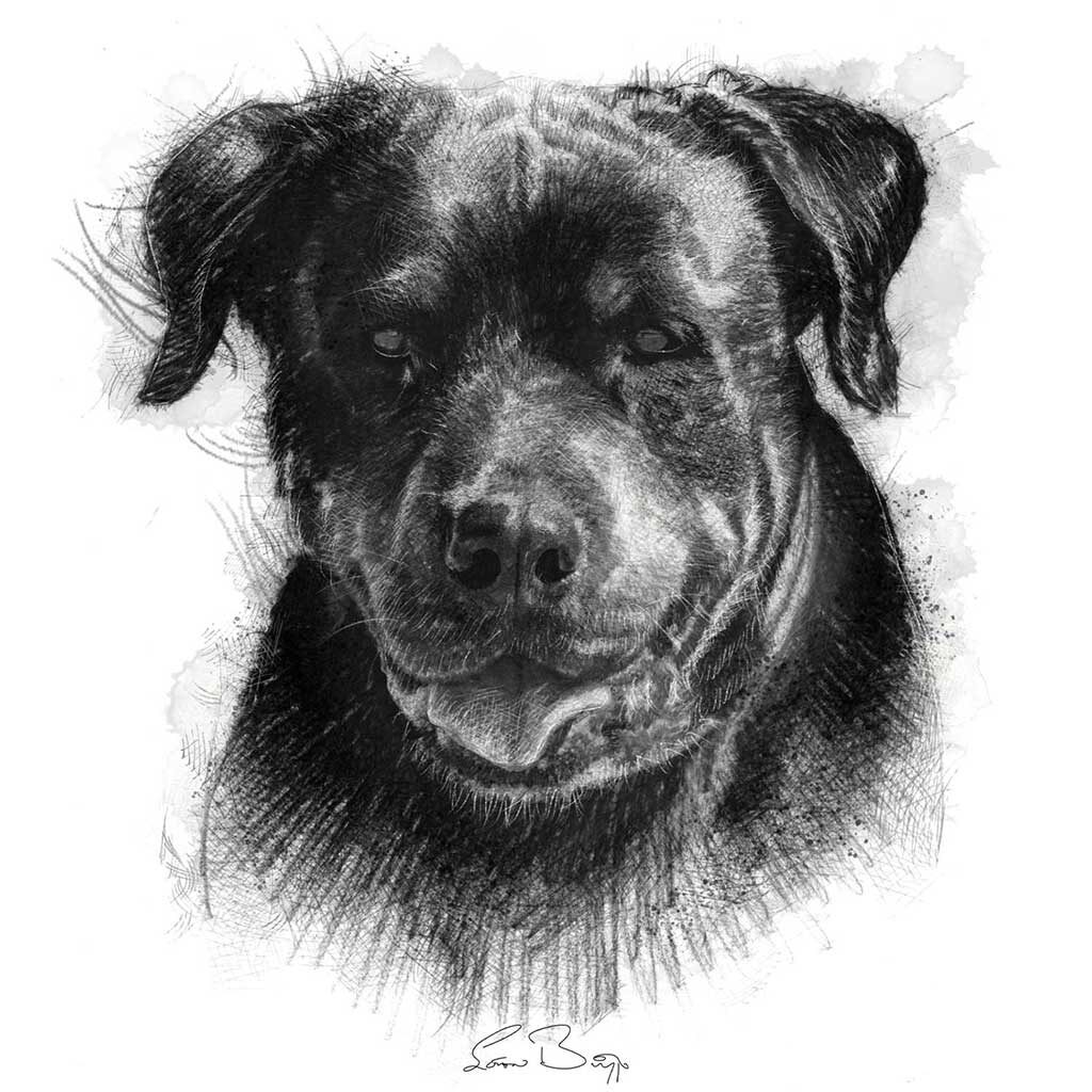 Original sketch SeanBriggs