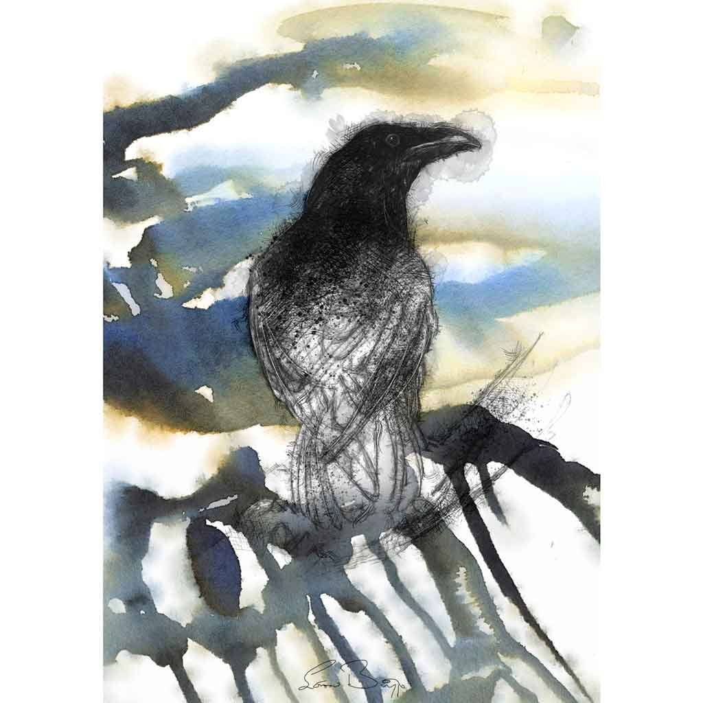 Ghost of a crow | SeanBriggs
